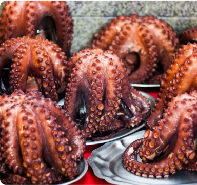 Camino Santiago cuisine: Gourmet dishes